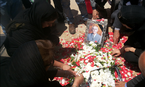 amin moayed